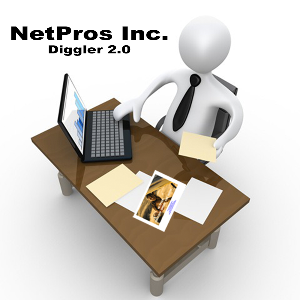 NetPros Inc